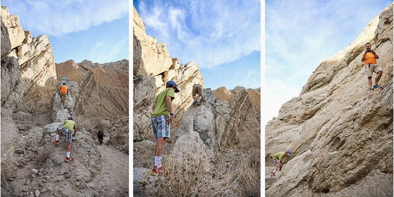 climbing again