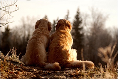best friends best friends