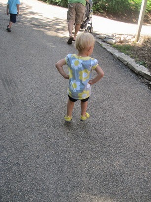 IMG_9551 IMG_9551