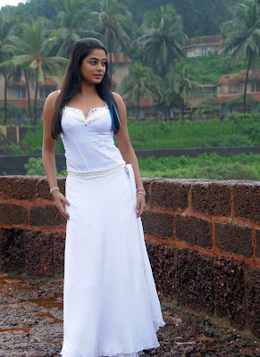 Actress Priyamani Hot High Resolution Latest Wallpaper Photos