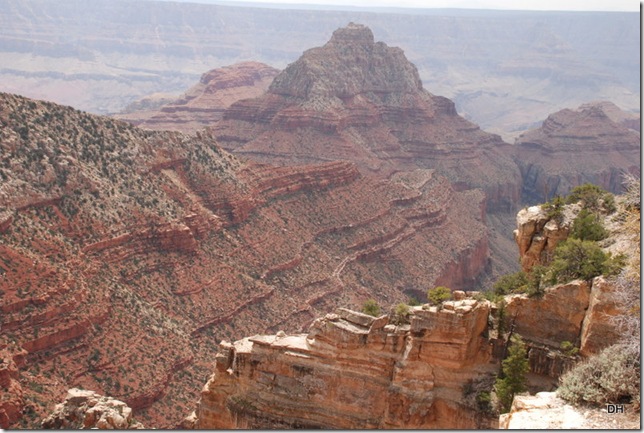 05-17-13 B Grand Canyon North Rim Drive (184)