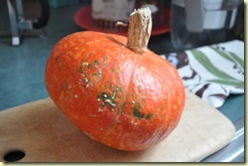 cinderella pumpkin