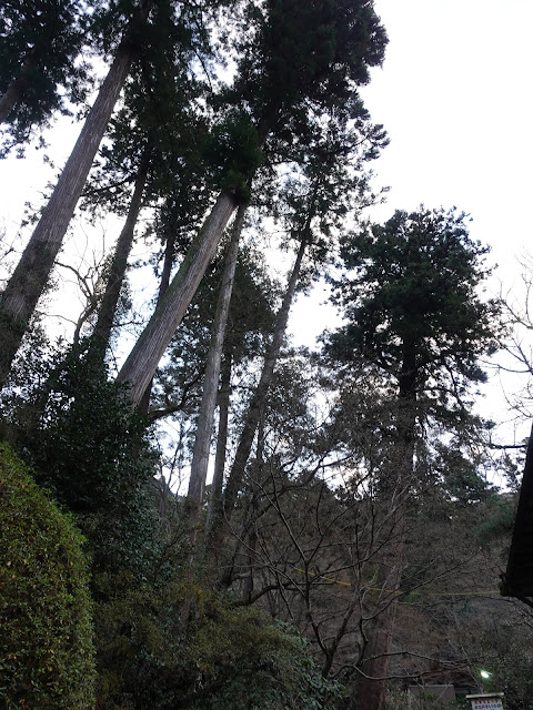 島根県安来市清水町　安来清水寺の参道