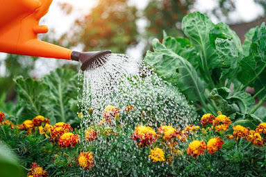 watering techniques for flower garden
