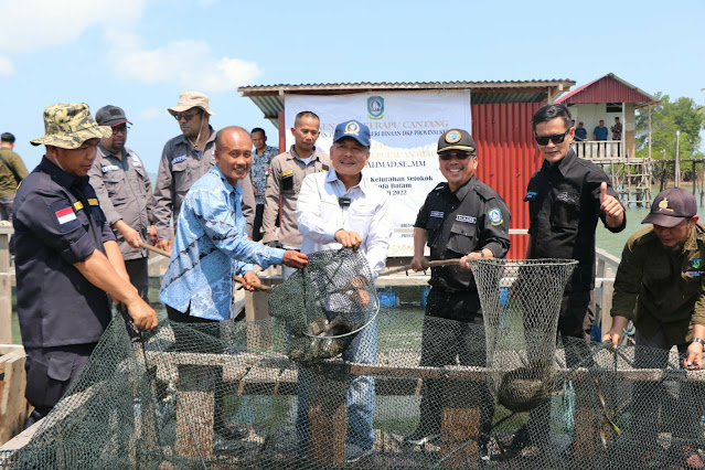 Wakili Gubernur Ansar Menghadiri Panen Ikan Kerapu Cantang di Pulau Akar, Ini Pesan yang Disampaikan Taba Iskandar  