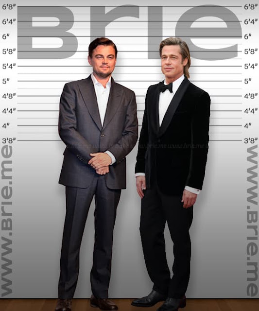 Leonardo DiCaprio height comparison with Brad Pitt