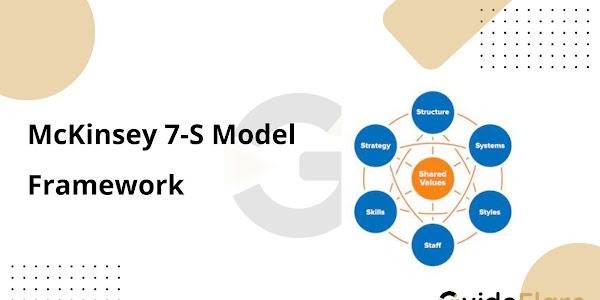 McKinsey 7-S Model Framework