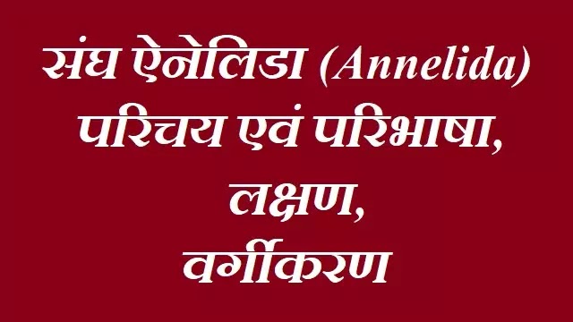 संघ ऐनेलिडा (Annelida):परिचय एवं परिभाषा, लक्षण, वर्गीकरण|hindi