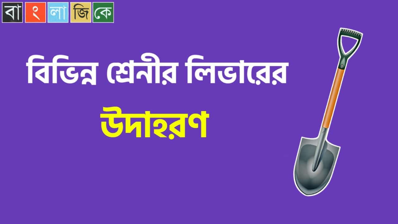 বিভিন্ন শ্রেণীর লিভারের উদাহরণ