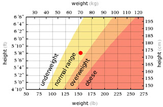 The My Virtual Model Voice Human Height Weight Chart