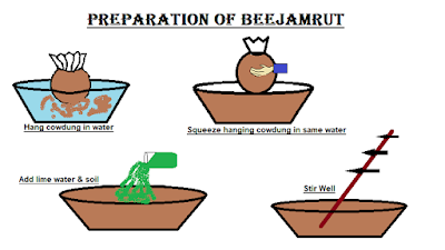 Preparation of beejamrut