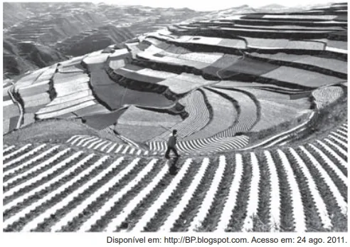 ENEM 2013: Na imagem, visualizam-se um método de cultivo e as transformações provocadas no espaço geográfico. O objetivo imediato da técnica agrícola utilizada é