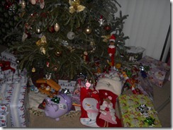 DSCN1635
