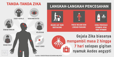 KESAN VIRUS ZIKA TERHADAP KANDUNGAN IBU HAMIL - atiehilmi 