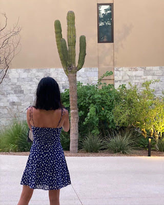 Lucy Hale in a blue patterned dress in front of cactus