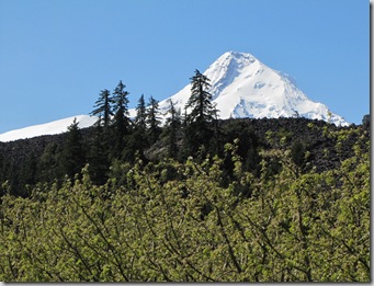 crg_mt_hood