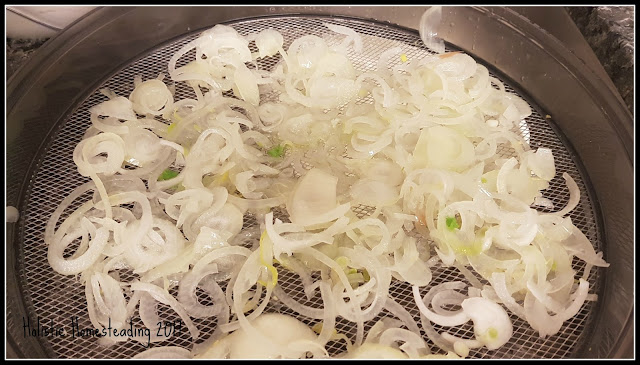 dehydrating onions