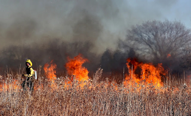 Canadian Wildfires