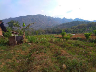 Dijual Tanah View Candi Borobudur Nan Eksotis