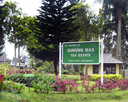 gunung mas