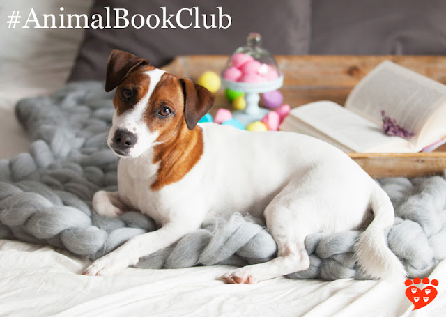 Book Club: How Dogs Love Us. A dog on the bed with a book and marshmallows