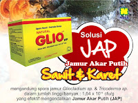 Agensia Hayati Gliocladium(GLIO) - Solusi Mengatasi Jamur Akar Putih Pada Tanaman Karet