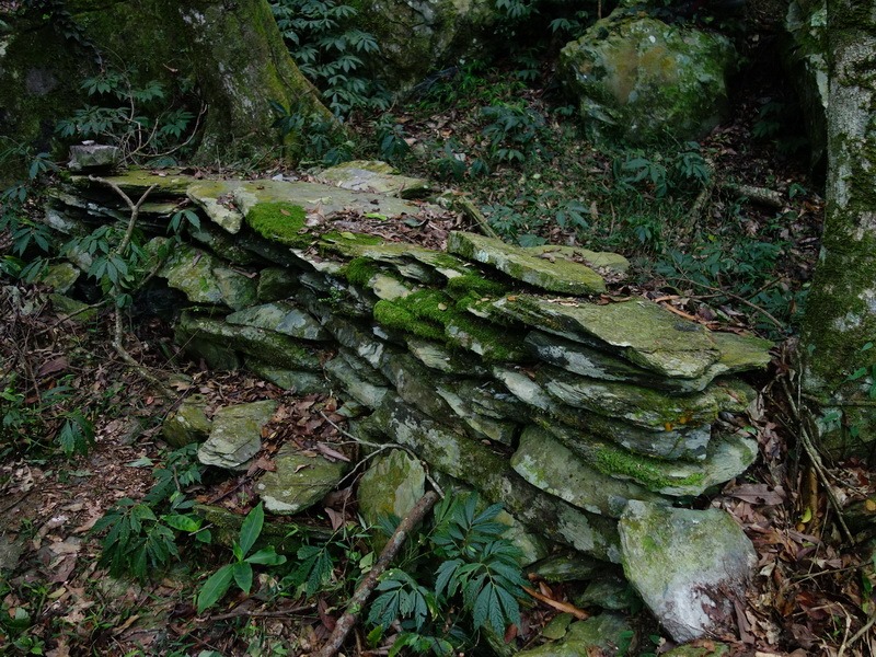 2014_0101-0105 萬山神石、萬山岩雕順訪萬頭蘭山_0472