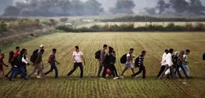 Έβρος: Παράνομοι μετανάστες καίνε τις περιουσίες των κατοίκων - Κυριαρχεί ο φόβος παντού