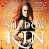 Télécharger Shadow Kin: A Novel of the Half-Light City (English Edition) Livre