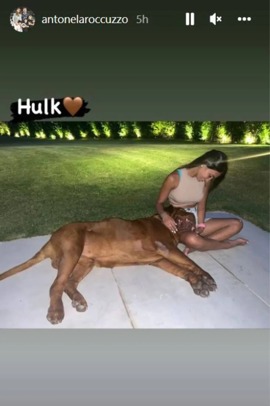 Antonela Roccuzzo mostró una foto con su perro Hulk y sorprendió: no para de crecer