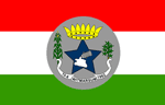 Bandeira de Witmarsum SC