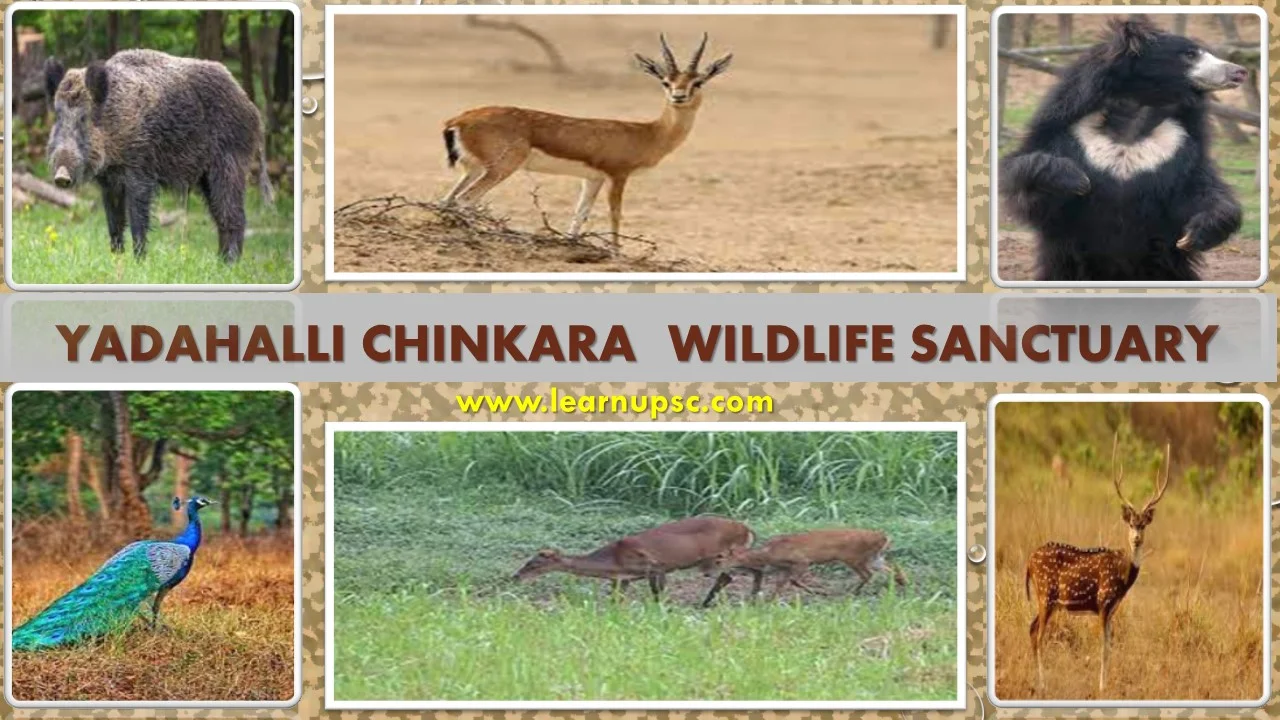 Yadahalli Chinkara Wildlife Sanctuary