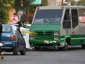 Así fue como una mujer justiciera mató a una rata que estaba asaltando a los pasajeros de un microbús