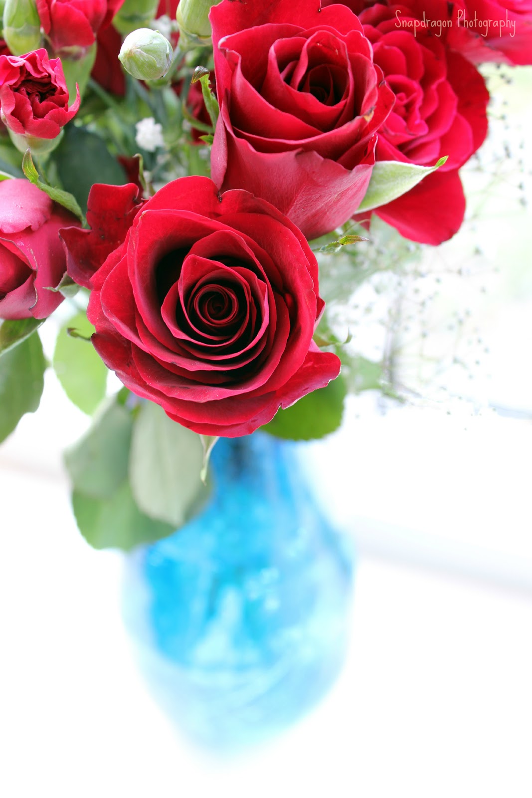 Most Beautiful Red Rose Flowers The Pictures