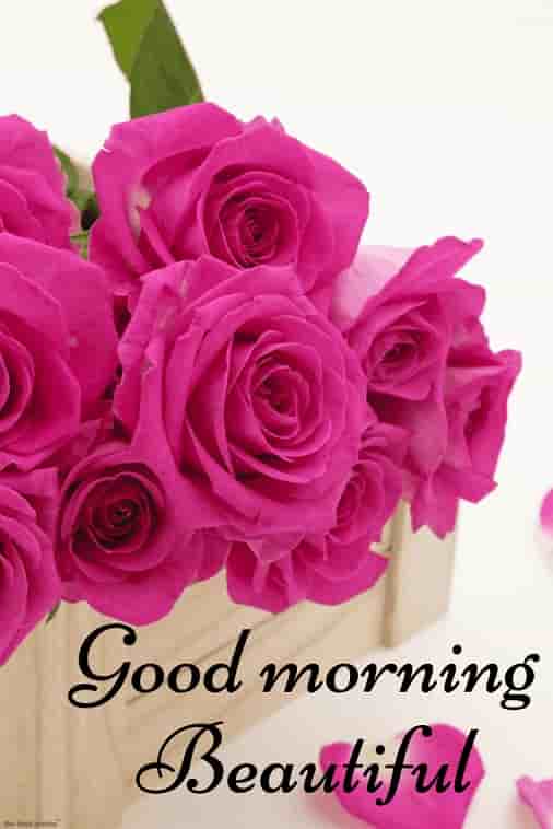 good morning beautiful picture with roses in wooden box