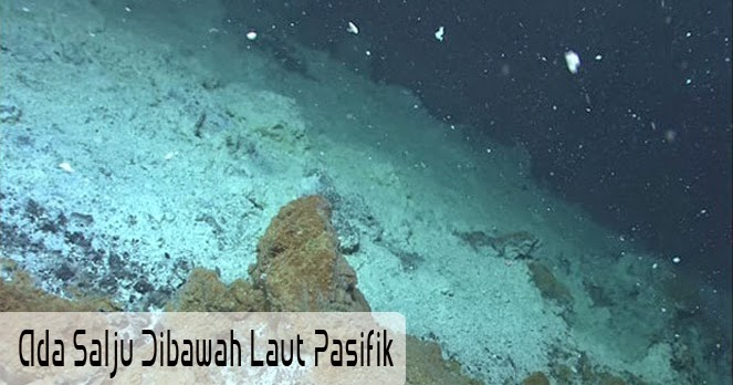 Ada Salju Dibawah Laut Pasifik  Katashare com