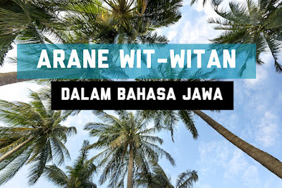16 Arane Wit-Witan Lengkap ( Nama Pohon ) Dalam Bahasa Jawa