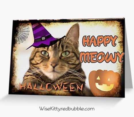 Halloween cat card