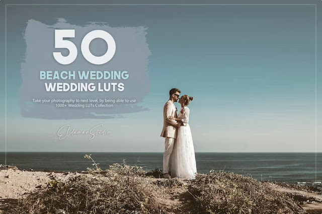 50 Beach Wedding LUTs Pack