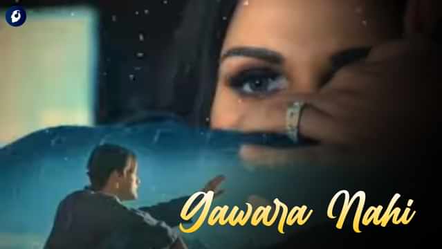 Gawara Nahi Lyrics Asim Riaz, Himanshi Khurana