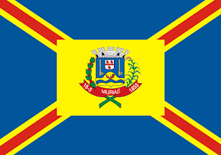 Bandeira de Muriaé - MG