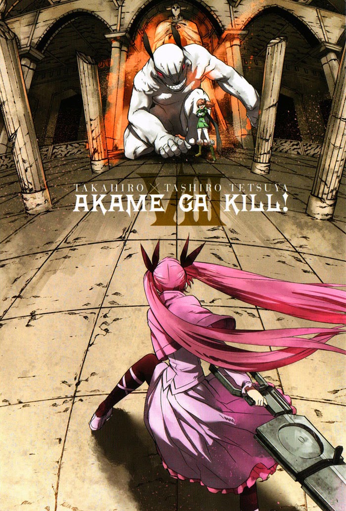 Akame ga Kill Gallery