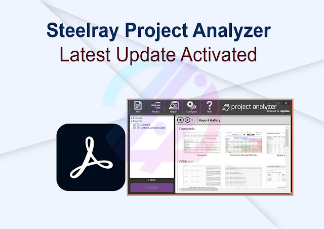 Steelray Project Analyzer Latest Update Actived