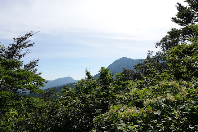 8月の大山夏山登山道