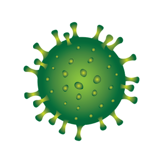 Coronavirus disease  (COVID-19)