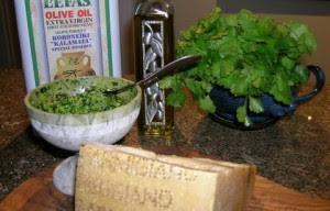 Ingredients for Cilantro Pesto. Pine nuts, cilantro, parmigiano cheese and olive oil