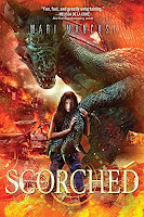 Save the Dragon. Destroy the World. Trinity Foxx is used to her grandfather's crazy stories, so she doesn't believe the latest treasure he brought home to their failing West Texas museum is a real dragon's egg. Not until Connor Jacks, a dragon hunter from the future, tells Trinity that the world is about to be wiped out by a fiery dragon war—unless they find a way to stop it. Save the Dragon. Save the World But Connor's not the only one after the egg. His twin brother Caleb believes dragons have the power to save mankind and must be protected. Caleb has seen too many dragons destroyed in the war-scorched future—he'll do whatever it takes to save this one. With a host of enemies hot on her heels, Trinity must decide who to believe. Connor the brave solider? Caleb the cocky rebel? Or the baby dragon that's starting to whisper to her...saying they are destined? The fate of the world may depend on her choice.