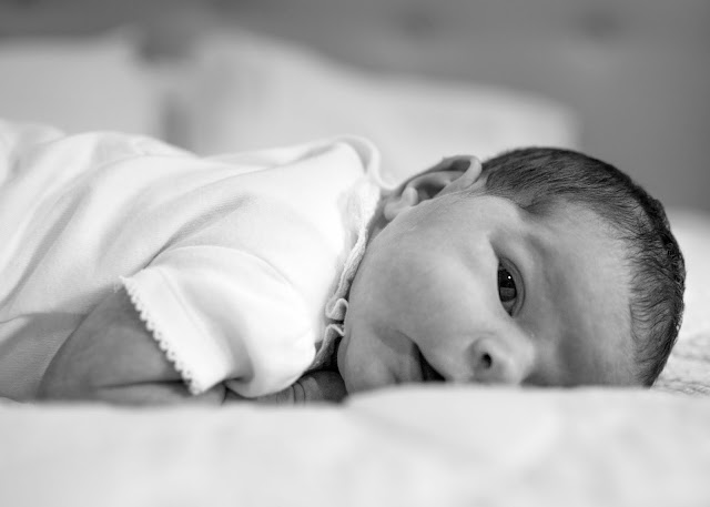 Elmhurst newborn photography