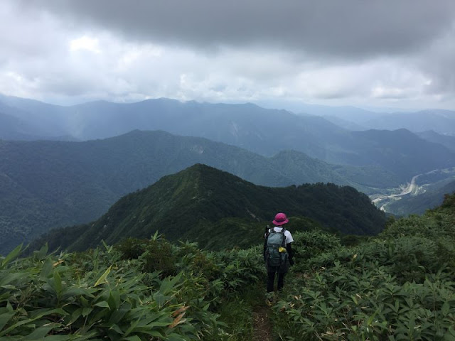 茂倉新道