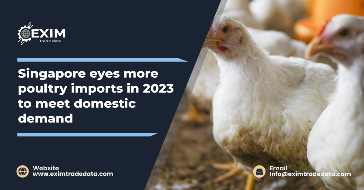 Singapore eyes more poultry imports in 2023 to meet domestic demand